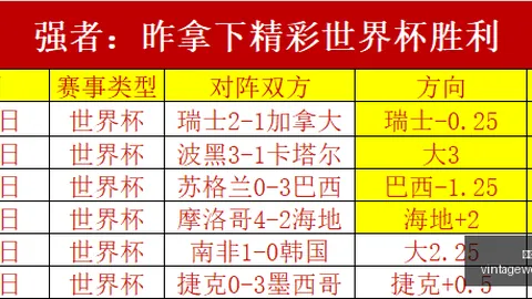 艾菲尔丁：从中甲闪耀到海港新援，征程中的毅力前行